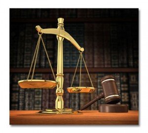 bronx employment attorney